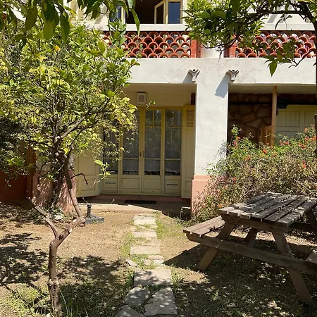 La Provence * イエール