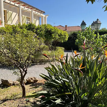 アパート La Provence イエール