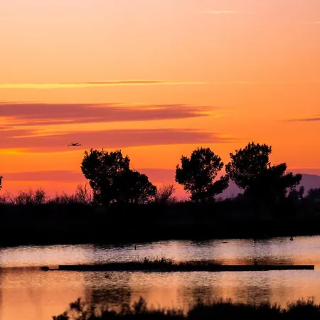 La Provence * イエール