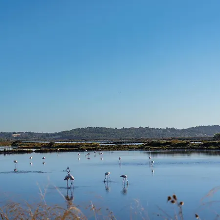 アパート La Provence イエール