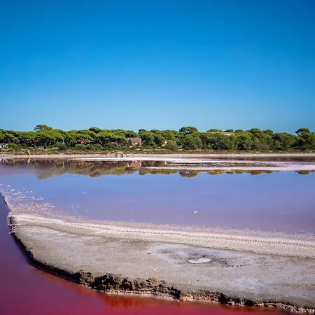 La Provence イエール