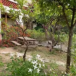 La Provence * Hyères
