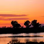 La Provence * Hyères