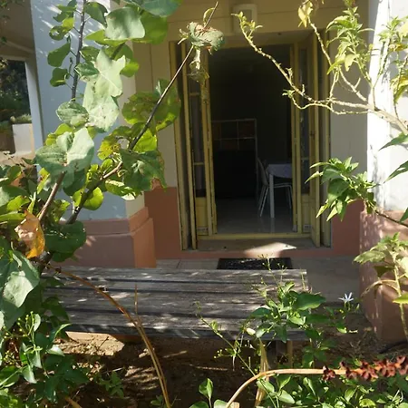 La Provence * Hyères