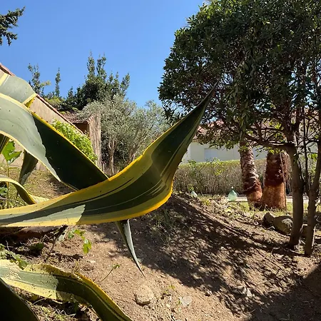 La Provence شقة *