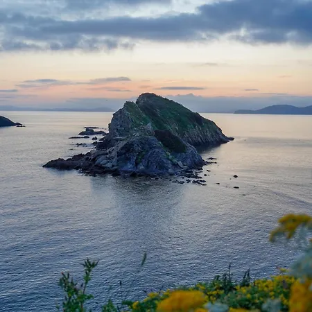 La Provence * Hyères