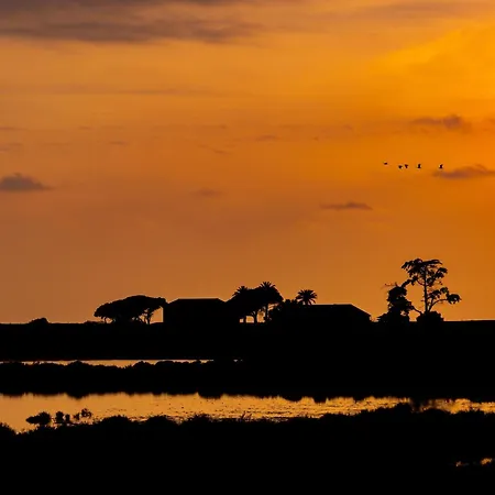 La Provence شقة Hyères