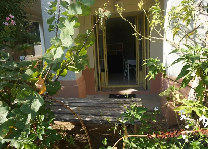 La Provence * Hyères