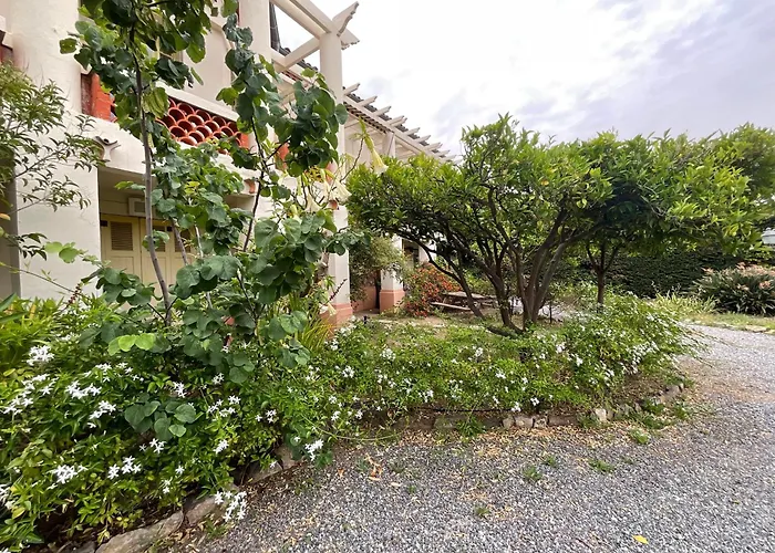 La Provence Daire Hyères