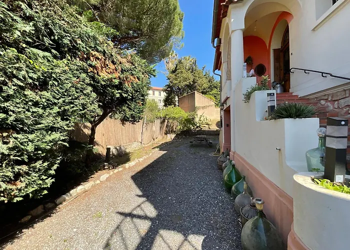 La Provence Daire Hyères