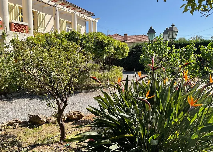 Daire La Provence Hyères