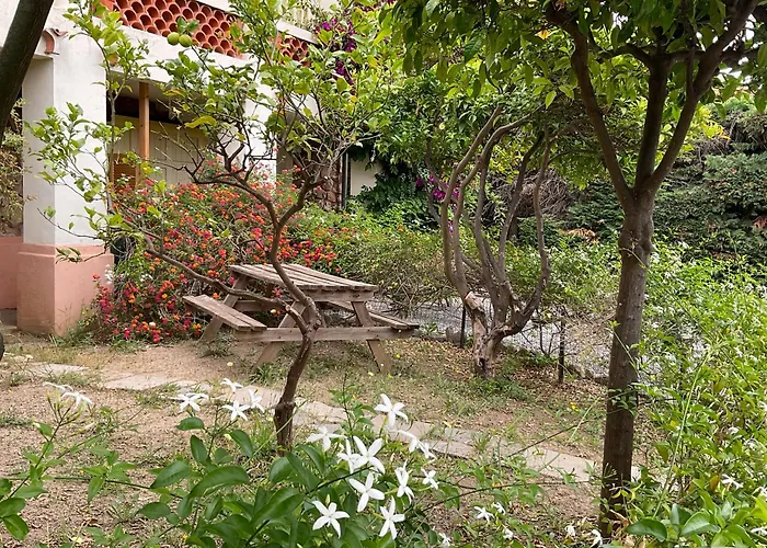 La Provence * Hyères