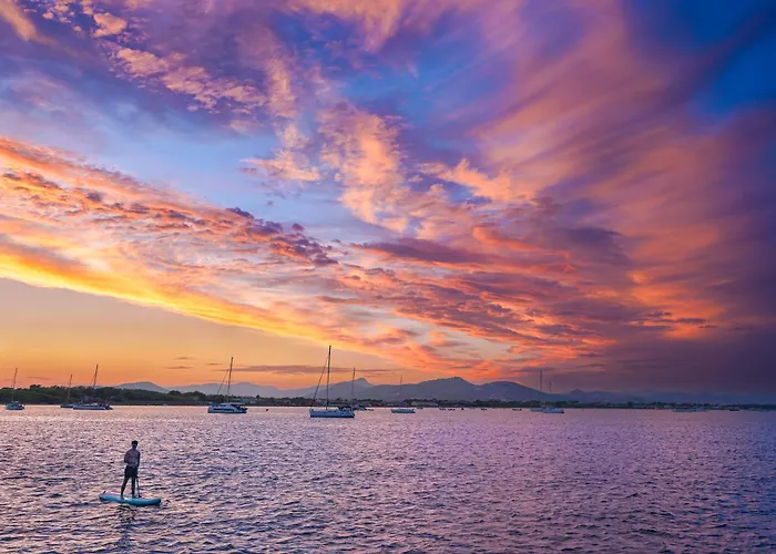 Daire La Provence Hyères