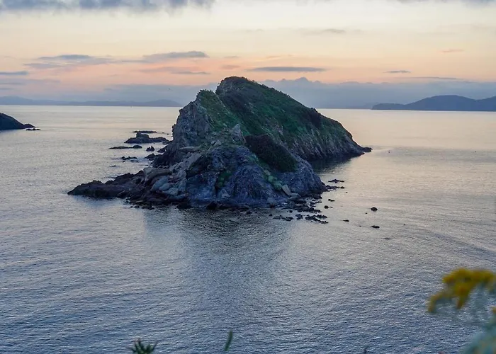 La Provence * Hyères