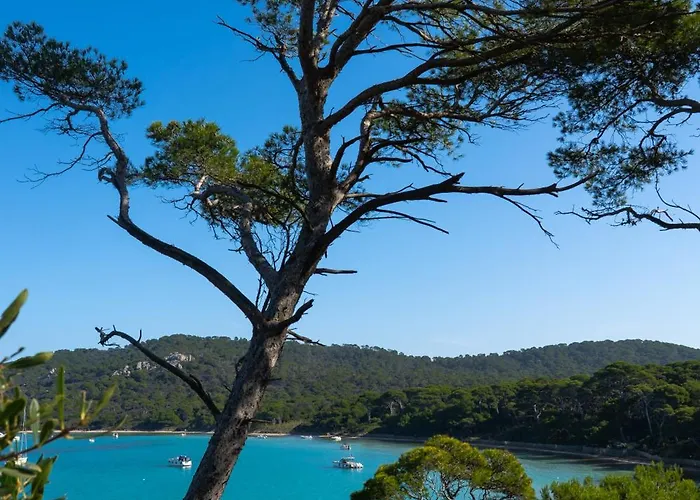 La Provence Lejlighed *