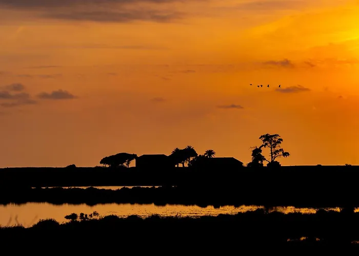 La Provence Appartamento Hyères