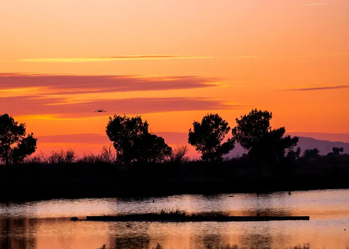 La Provence * Hyères