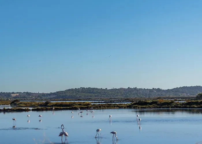 Daire La Provence Hyères